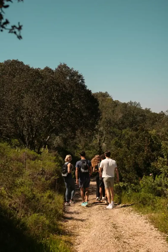 Hiking